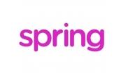 Фото логотипа SPRING