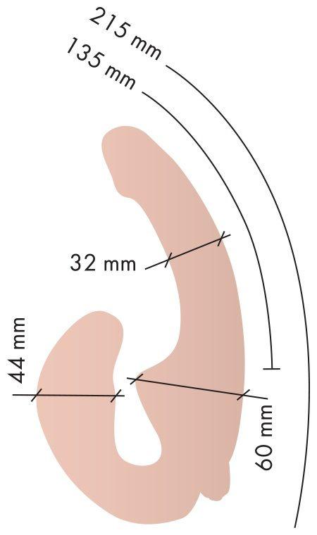 Телесный анатомический страпон с вибрацией - фото 5