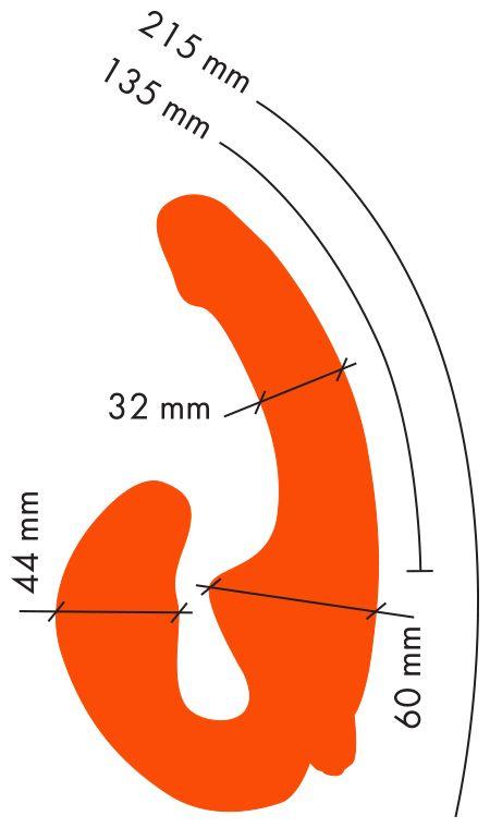 Оранжевый анатомический страпон с вибрацией от Intimcat