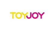 Фото логотипа Toy Joy