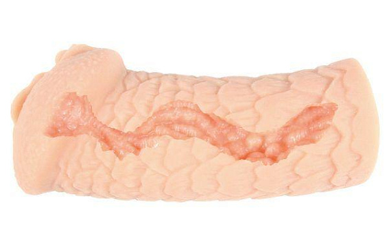 Реалистичный мастурбатор-вагина Elegance.003 - Термопластичная резина (TPR)