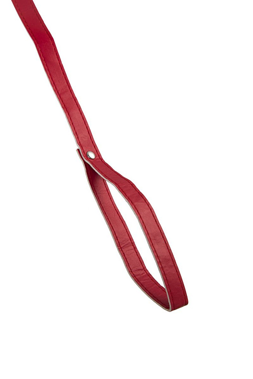 Красный ошейник с металлической фурнитурой Toyfa Basic