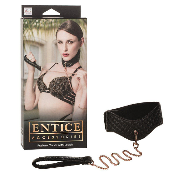 Ошейник с поводком Entice Posture Collar with Leash - поливинилхлорид (ПВХ, PVC)