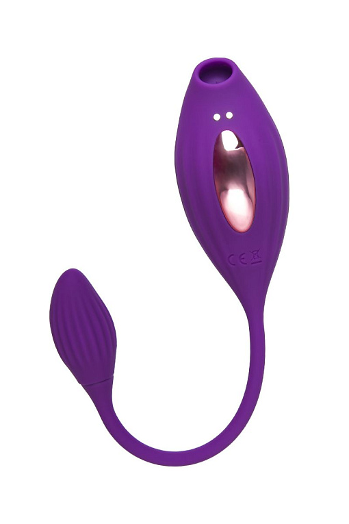 Фиолетовый вакуумный стимулятор клитора Ginny с виброяйцом от Intimcat