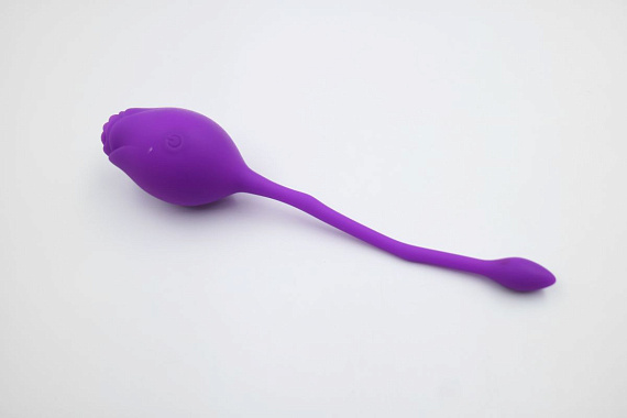 Фиолетовое перезаряжаемое виброяйцо Rosie с пультом ДУ - силикон