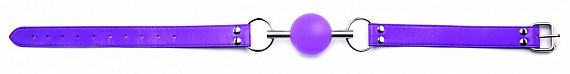 Кляп-шар на фиолетовых ремешках Solid Ball Gag от Intimcat