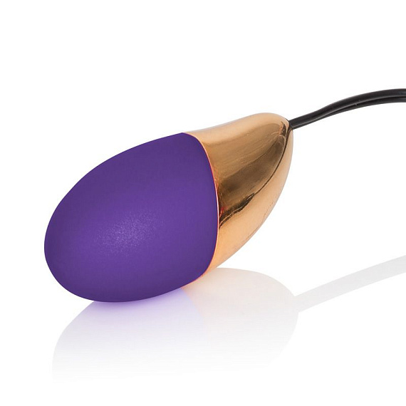 Фиолетовое виброяйцо Entice Hope с проводным пультом - анодированный пластик (ABS)
