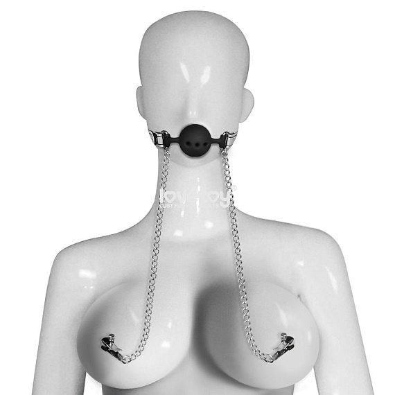 Серебристо-черный кляп с зажимами на соски Breathable Ball Gag With Nipple Clamp Lovetoy