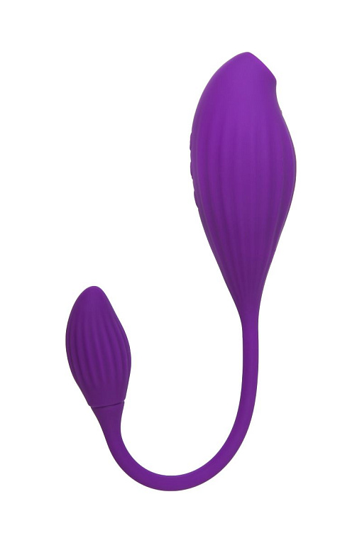 Фиолетовый вакуумный стимулятор клитора Ginny с виброяйцом - фото 5