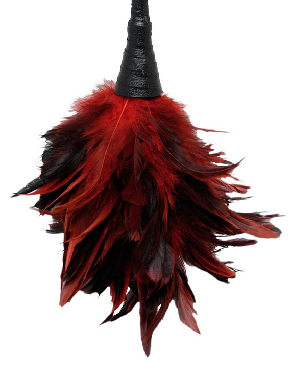 Кисточка с красно-чёрными пёрышками Frisky Feather Duster - 36 см. от Intimcat