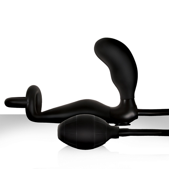 Анальный стимулятор с кольцом на пенис и мошонку Renegade Mens Pleasure System - термопластичный эластомер (TPE)