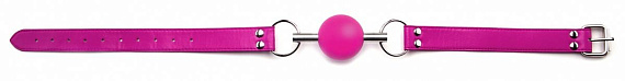Кляп-шар на розовых ремешках Solid Ball Gag от Intimcat