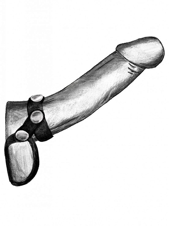 Черное эрекционное лассо на пенис и мошонку на заклепках - искусственная кожа