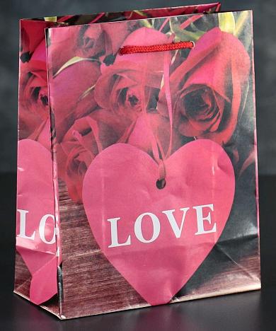 Пакет Love с розочками и сердечками - 23 х 18 см.