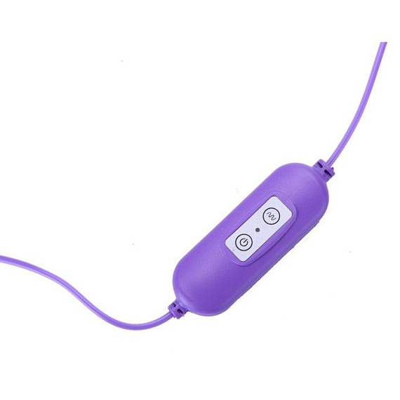 Фиолетовые гладкие виброяйца, работающие от USB Сима-Ленд