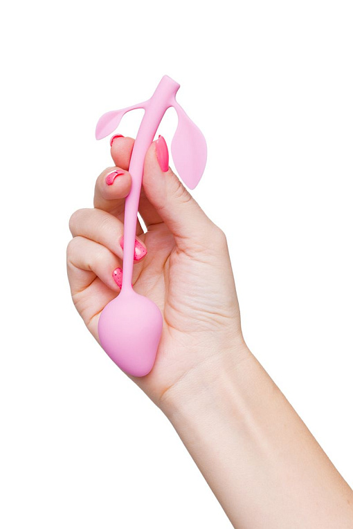 Розовый вагинальный шарик Aster от Intimcat