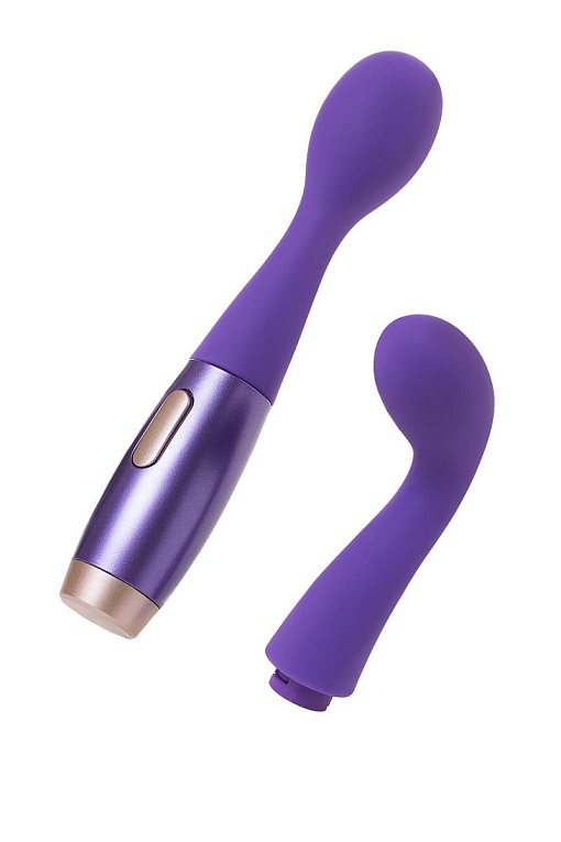 Фиолетовый вибратор Le Stelle PERKS SERIES EX-1 с 2 сменными насадками - силикон