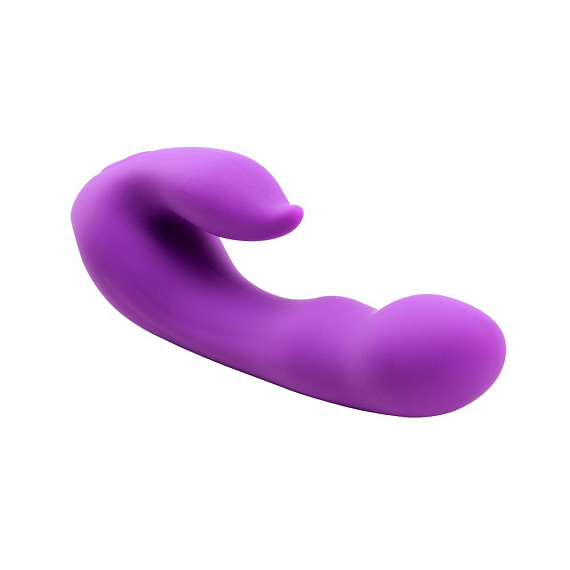 Фиолетовый вибратор-кролик Seduction - 19,5 см. Chisa