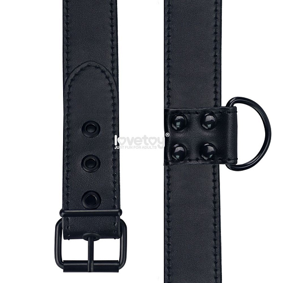 Черный ошейник Bondage Fetish Black Matt Collar With Leash с цепочкой-поводком от Intimcat