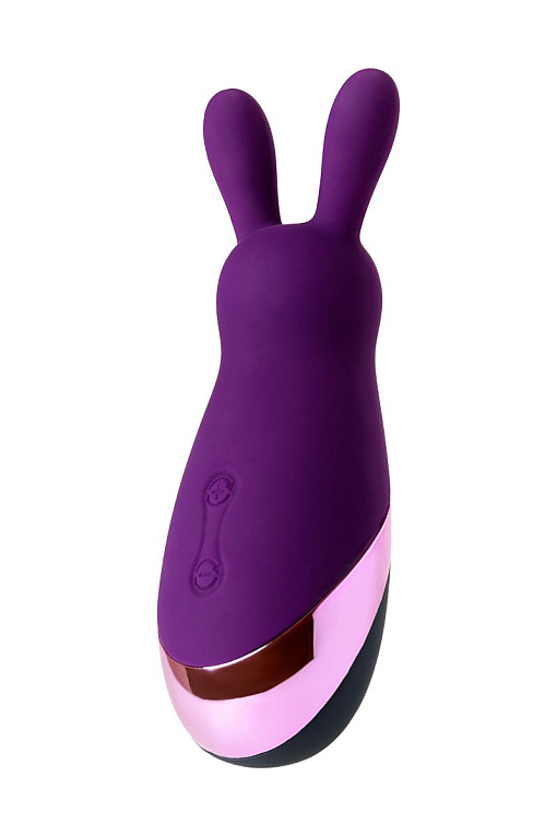 Фиолетовый стимулятор эрогенных зон Eromantica BUNNY - 12,5 см. от Intimcat