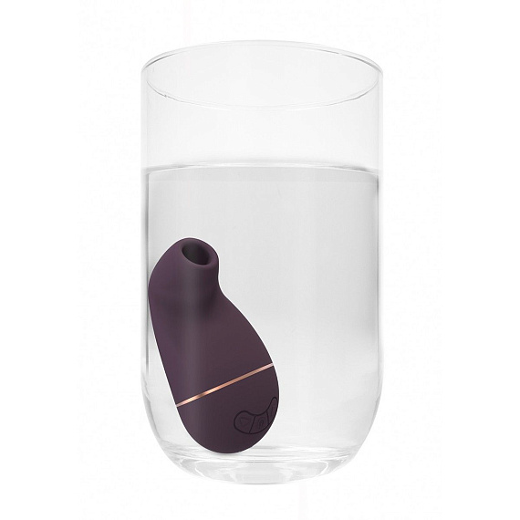 Фиолетовый клиторальный вакуум-волновой массажер Irresistible Kissable Irresistible