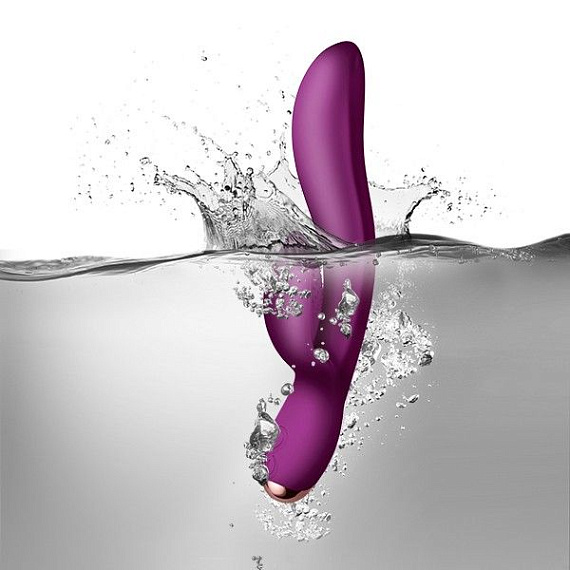 Фиолетовый вибратор-кролик Regala Rabbit - 22,5 см. от Intimcat