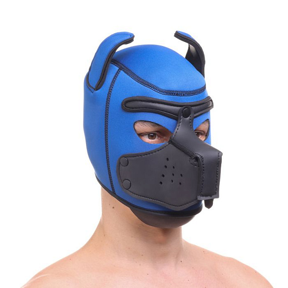 Синяя неопреновая БДСМ-маска Puppy Play от Intimcat
