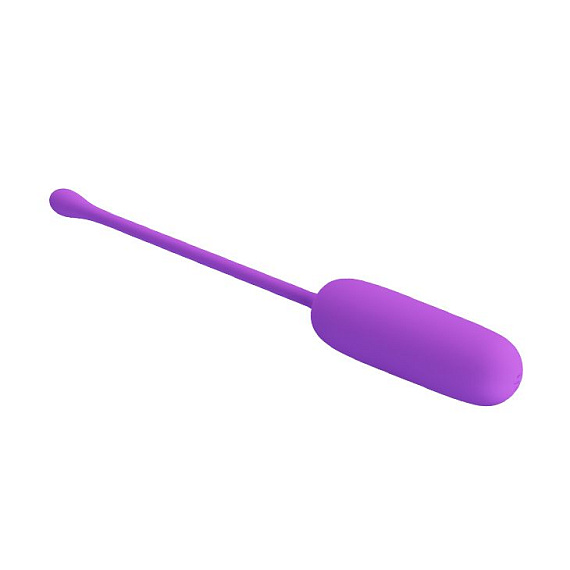 Фиолетовое перезаряжаемое виброяйцо Joyce от Intimcat